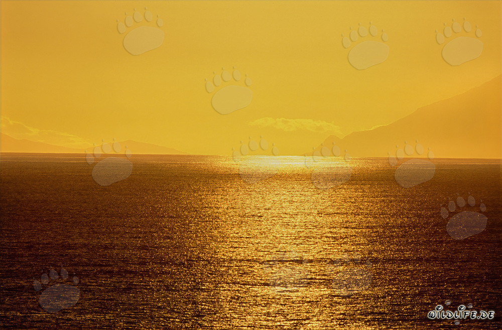 Coucher de soleil fascinant à la baie de Walker en Afrique du Sud