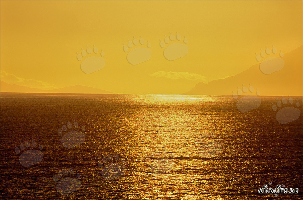 Fascinante ambiente de puesta de sol en la bahía de Walker en Sudáfrica