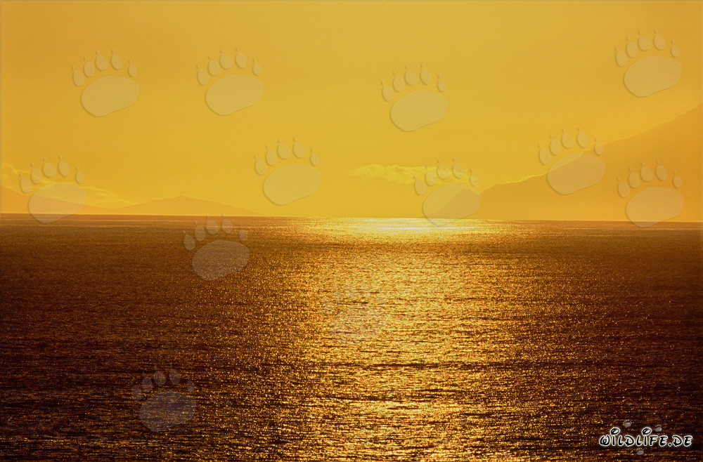Faszinierende Sonnenuntergangsstimmung an der Walker Bay in Südafrika