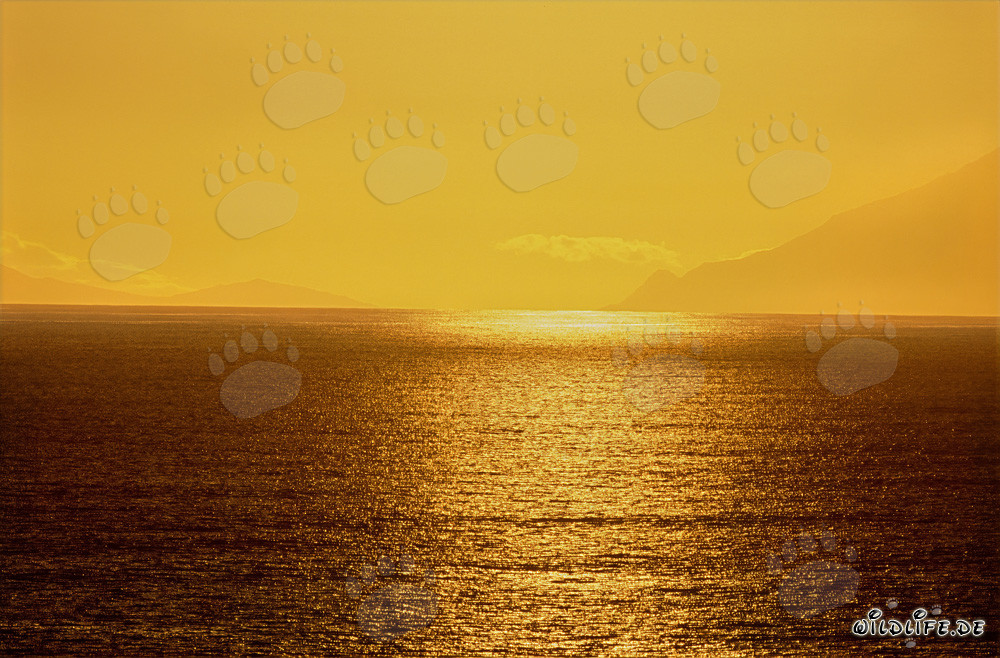Fascinating sunset mood at Walker Bay in South Africa