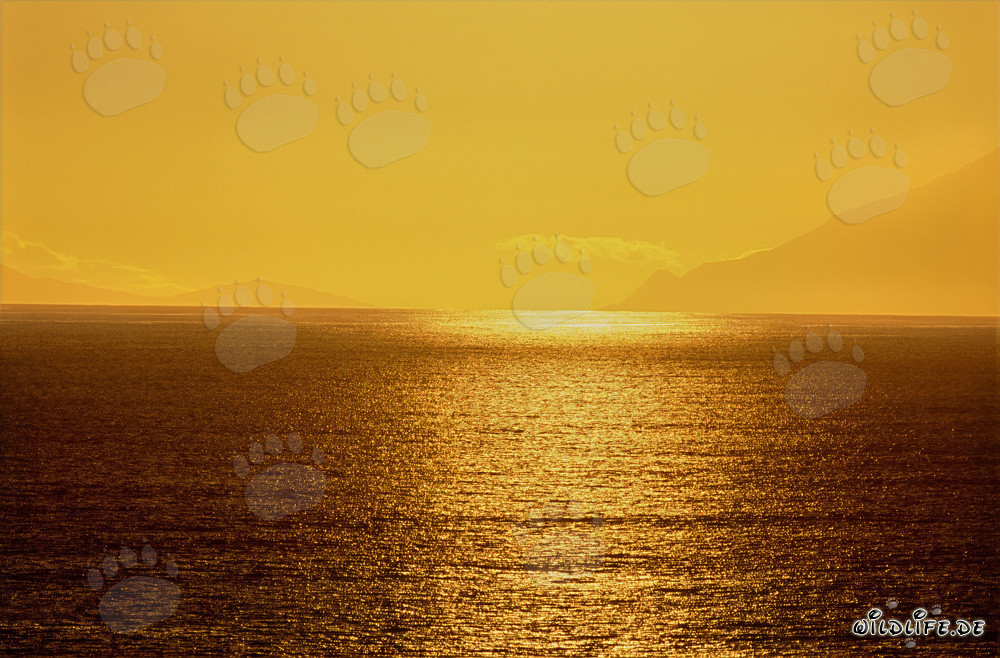 Affascinante atmosfera al tramonto nella baia di Walker in Sudafrica