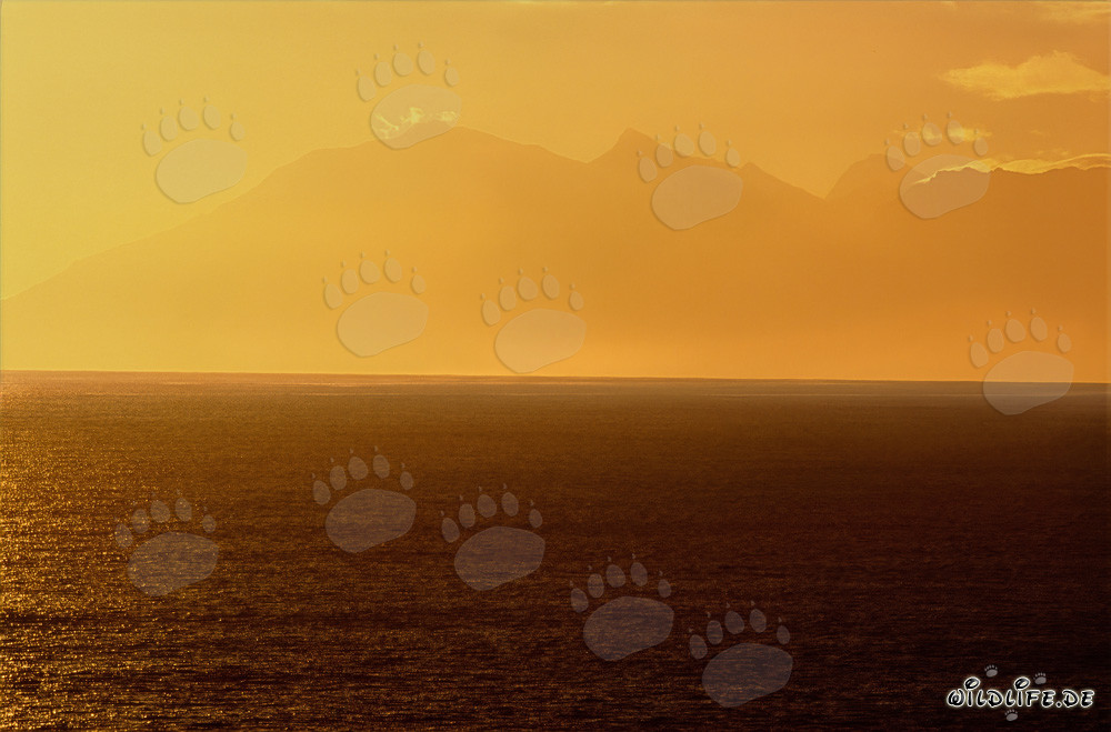 Abendstimmung mit Sonnenuntergang und Walbeobachtung in der Walker Bay, Südafrika