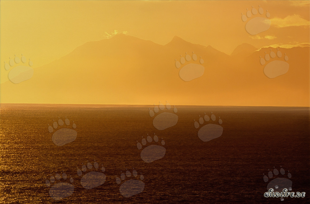 Atardecer y avistamiento de ballenas en la bahía de Walker, Sudáfrica