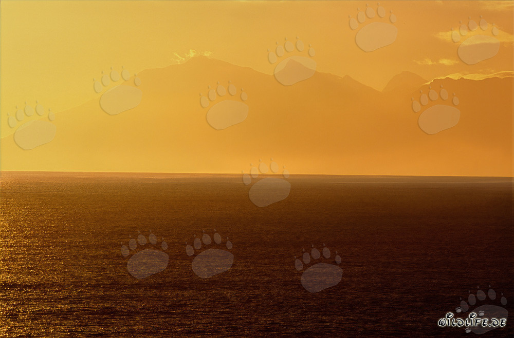 Evening mood with sunset and whale watching in the Walker Bay, South Africa