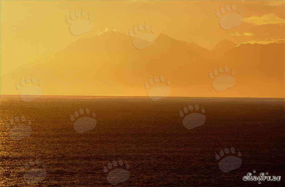 Tramonto e avvistamento delle balene nella baia di Walker, Sudafrica