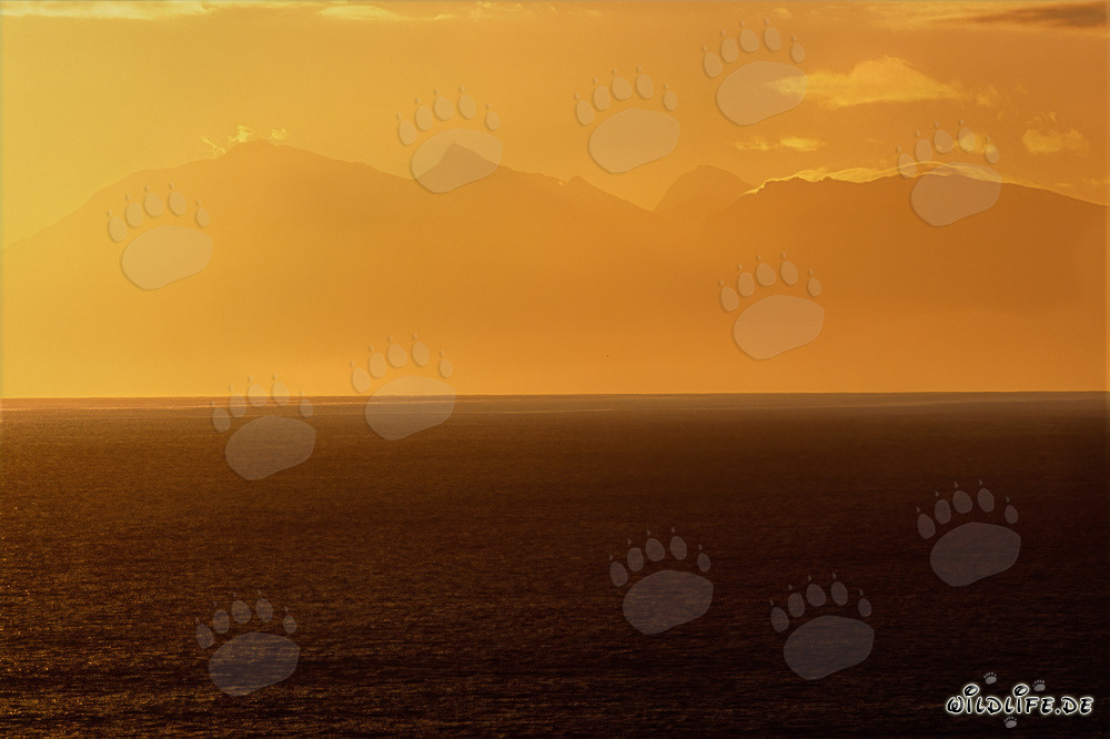 Coucher de soleil magique à la baie de Walker en Afrique du Sud