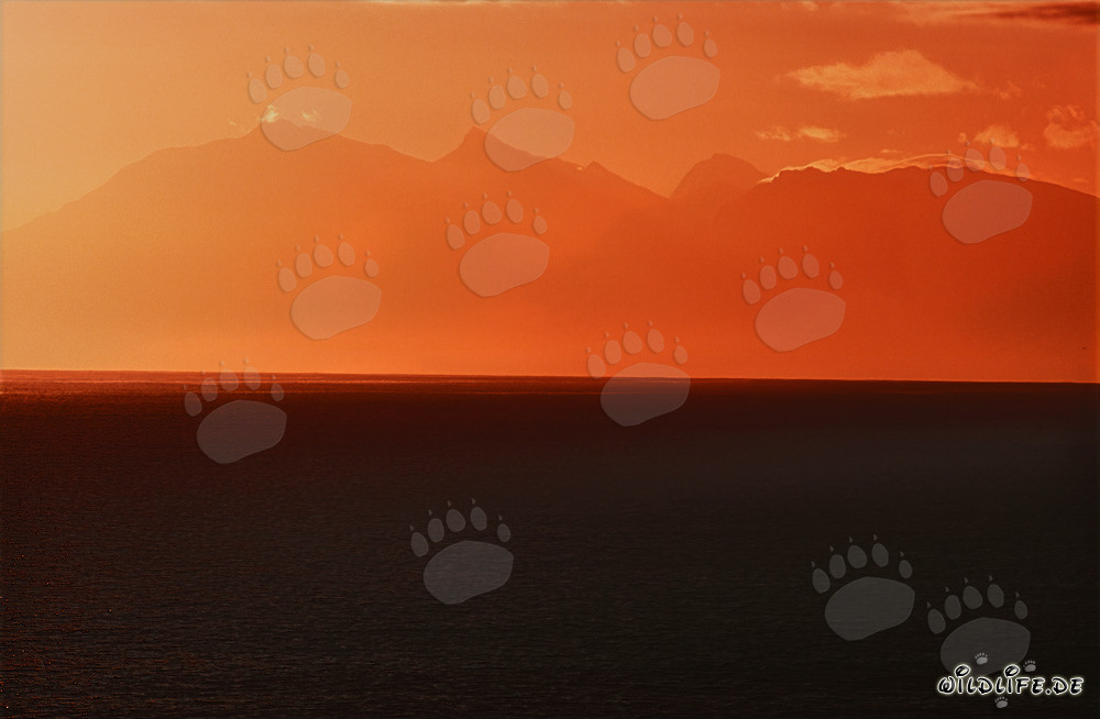 Coucher de soleil fascinant sur la baie de Walker en Afrique du Sud