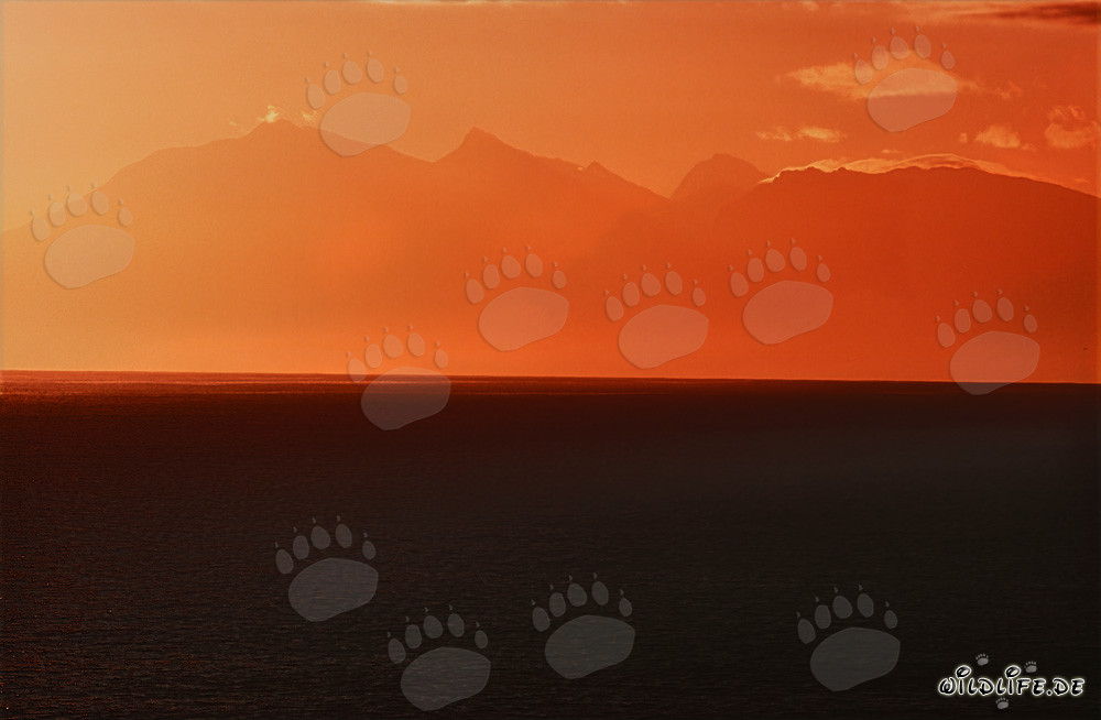 Faszinierender Sonnenuntergang über der Walker Bay in Südafrika