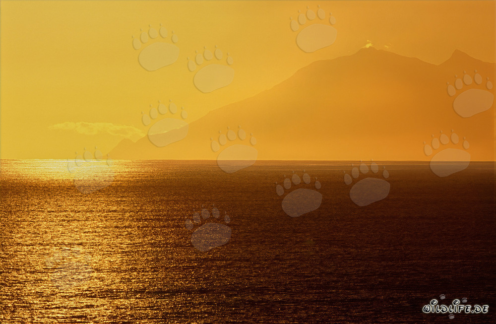 Romántica puesta de sol en la bahía Walker