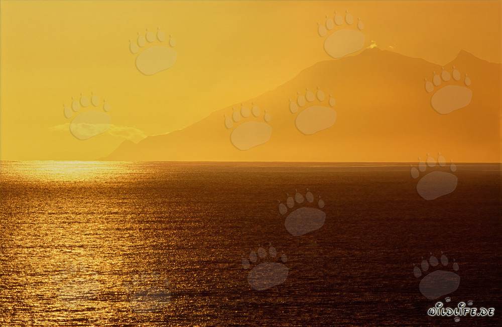Romantischer Sonnenuntergang an der Walker Bay