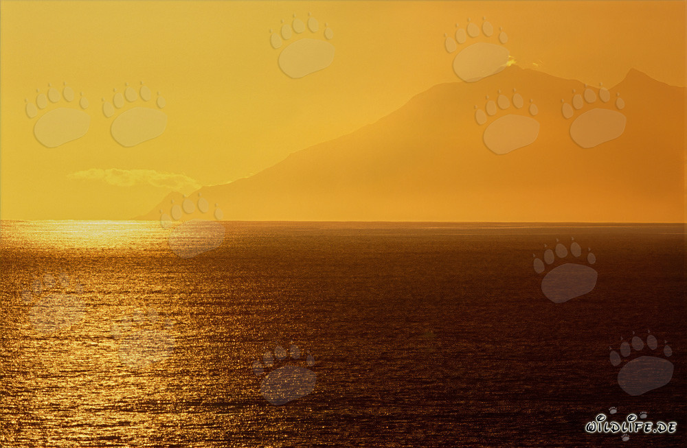 Tramonto romantico nella baia Walker