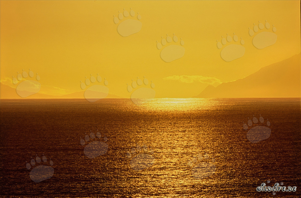 Coucher de soleil romantique à la baie de Walker en Afrique du Sud