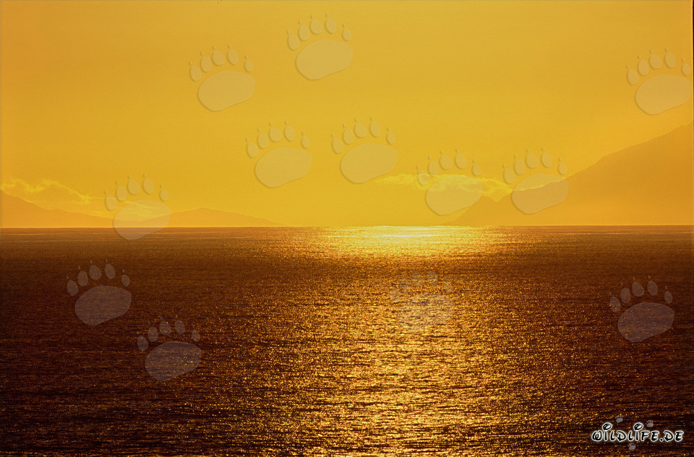 Romántica puesta de sol en la bahía de Walker, Sudáfrica