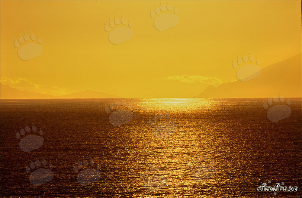 Romantic Sunset in the Walker Bay in South Africa