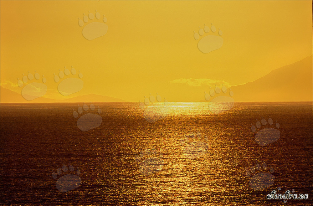 Tramonto romantico nella baia di Walker in Sudafrica