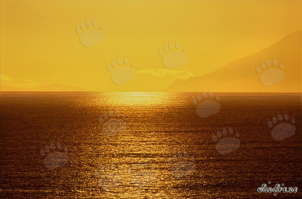 Magische Abendstimmung an der Walker Bay