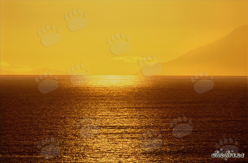 Atmosfera magica al tramonto nella baia di Walker
