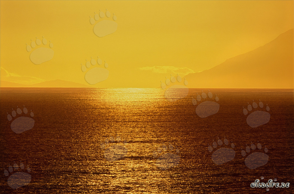 Atardecer mágico sobre la bahía de Walker en Sudáfrica