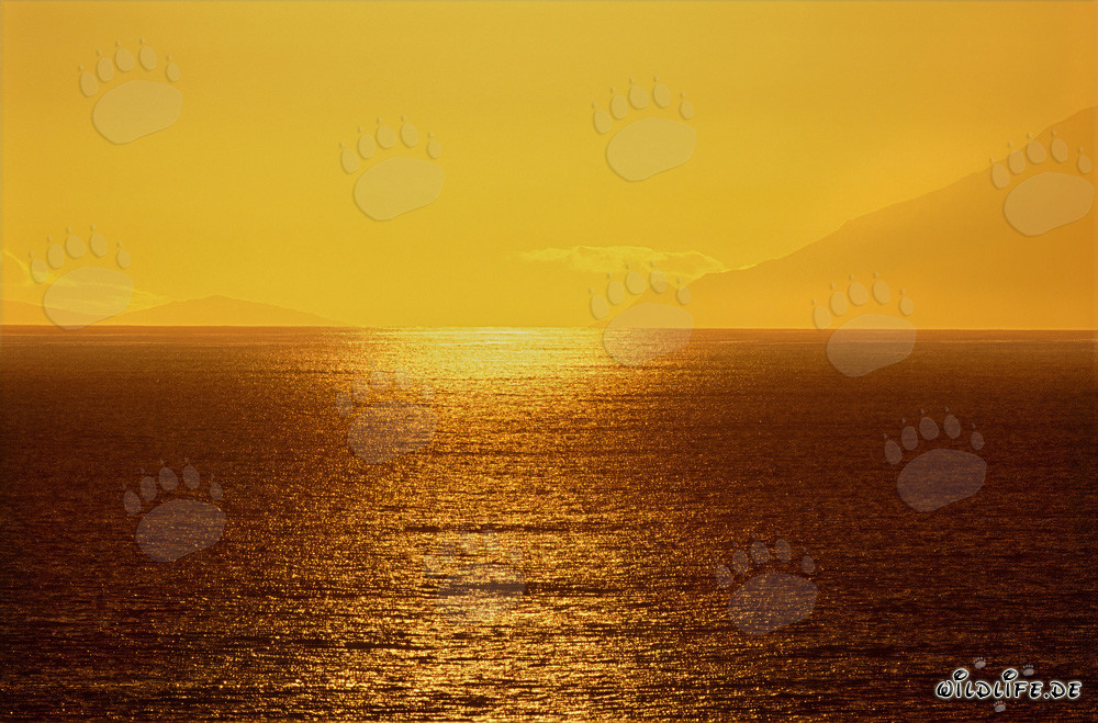 Coucher de soleil magique sur la baie de Walker en Afrique du Sud