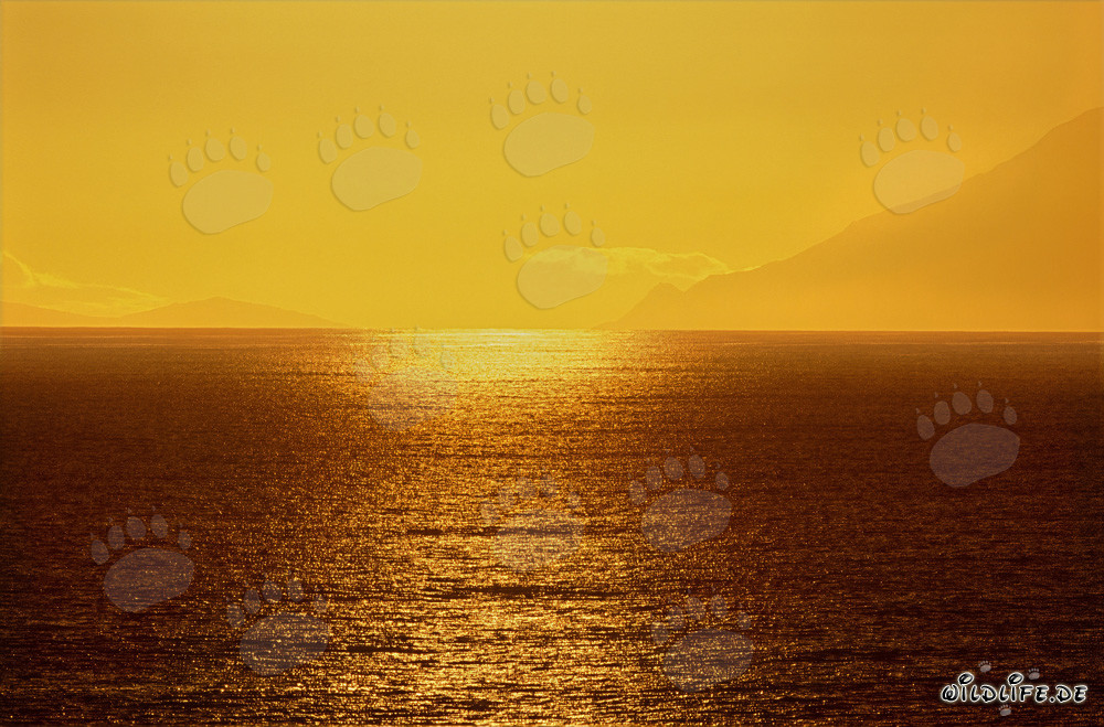 Magischer Sonnenuntergang über der Walker Bay in Südafrika