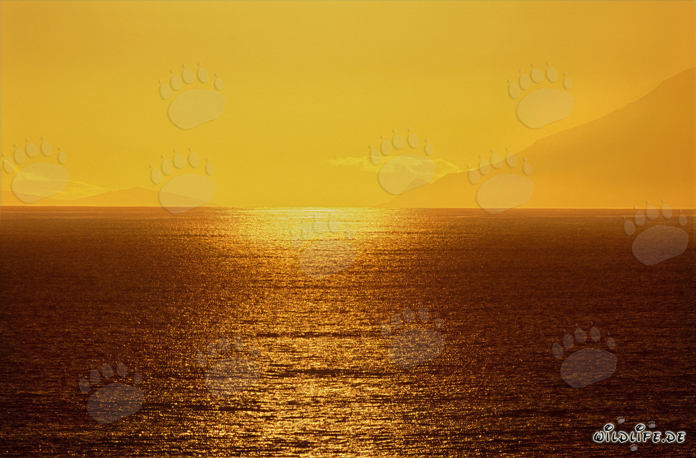 Tramonto magico sulla baia di Walker in Sudafrica