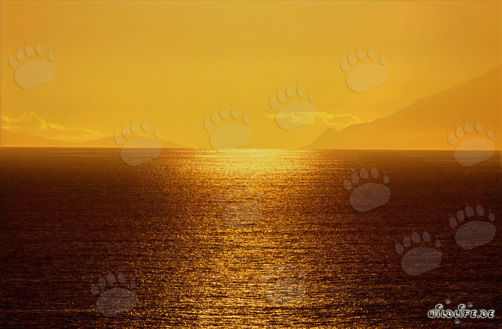 Magnifique coucher de soleil sur la baie de Walker en Afrique du Sud