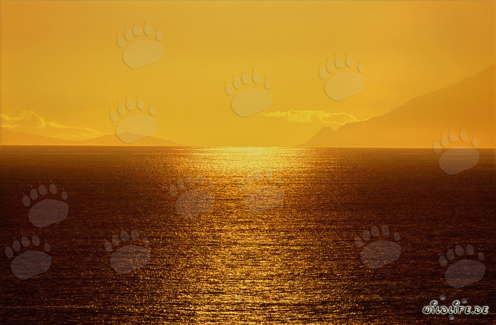 Faszinierender Sonnenuntergang über der Walker Bay in Südafrika