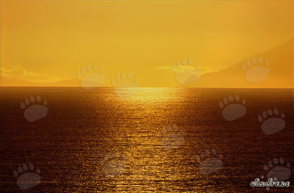 Tramonto spettacolare sulla baia di Walker in Sudafrica