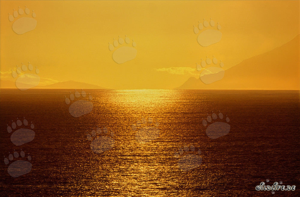 Coucher de soleil magique sur la baie de Walker