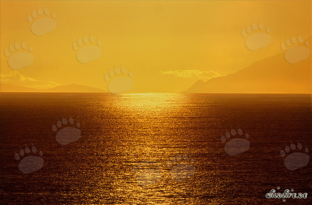Magischer Sonnenuntergang über der Walker Bay