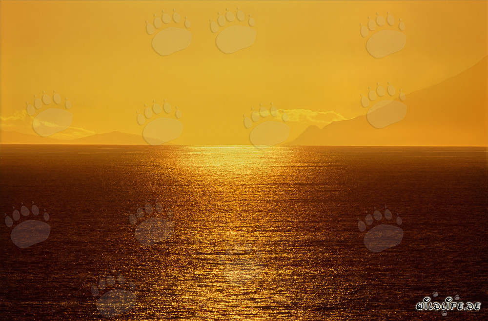 Tramonto magico sulla baia di Walker