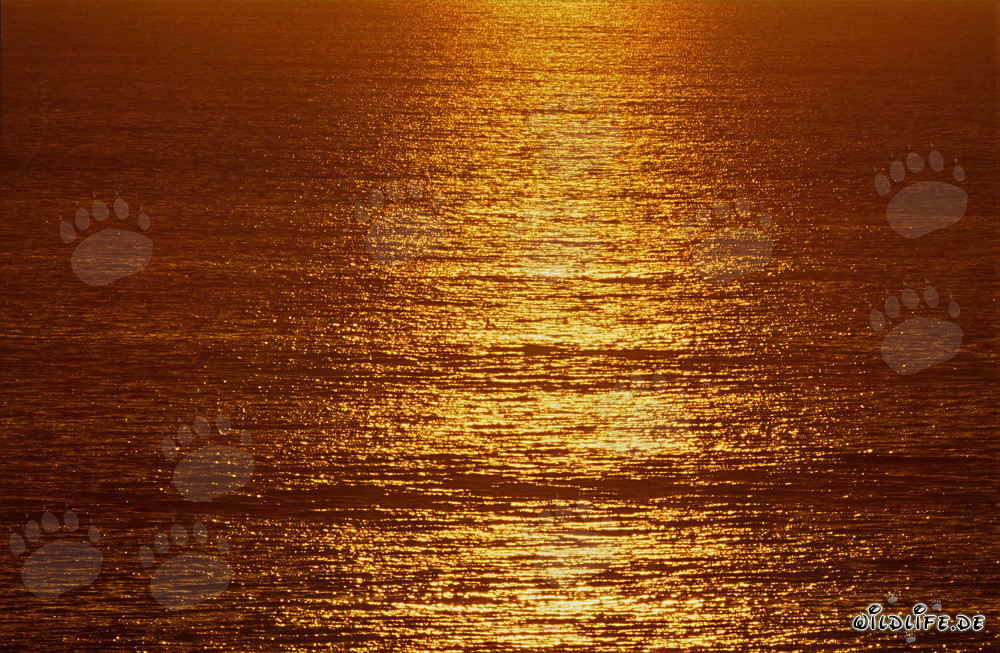 Romántica puesta de sol sobre la bahía Walker en Sudáfrica