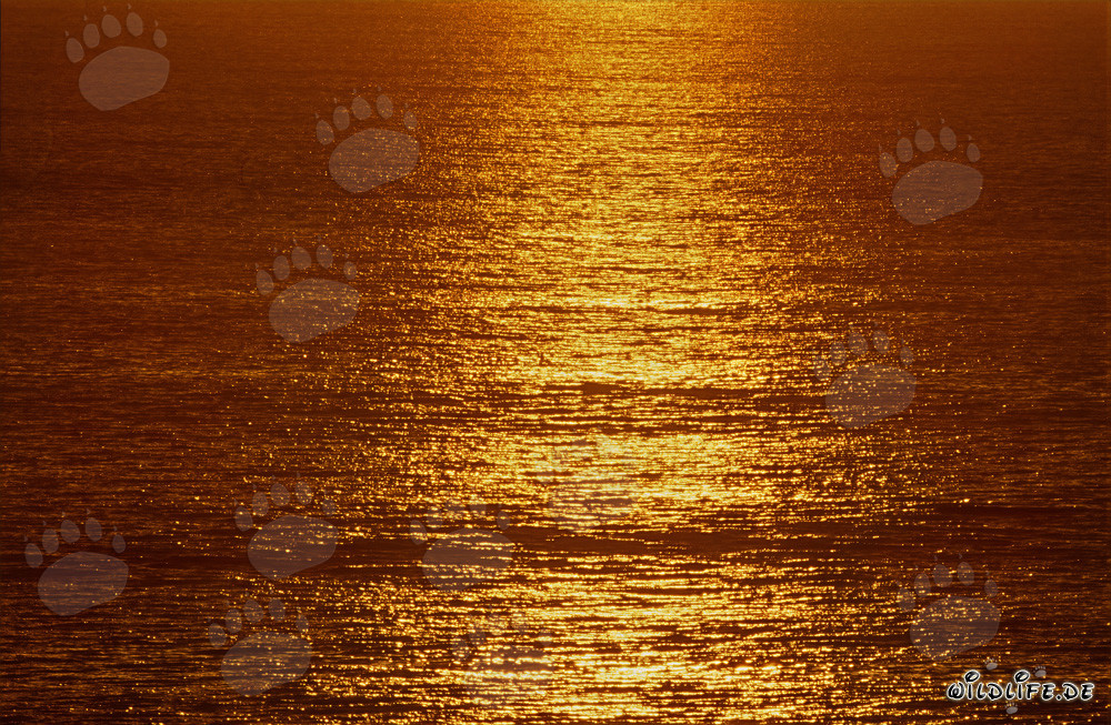Romantic sunset over Walker Bay in South Africa