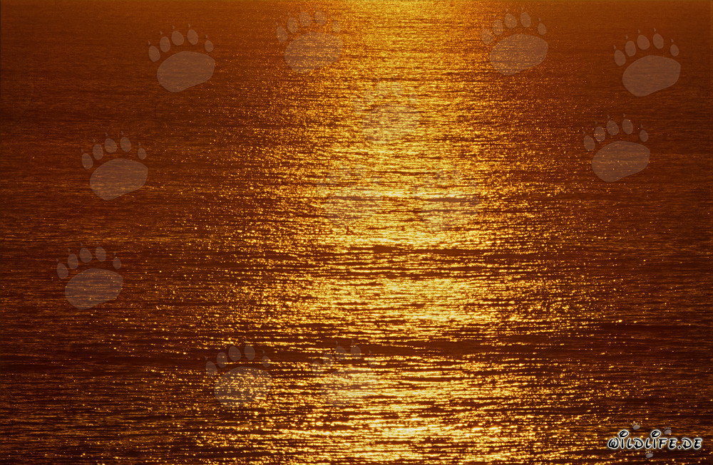 Romantico tramonto sulla baia Walker in Sudafrica