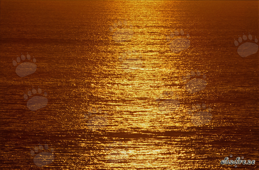 Atardecer mágico sobre la bahía de Walker en Sudáfrica