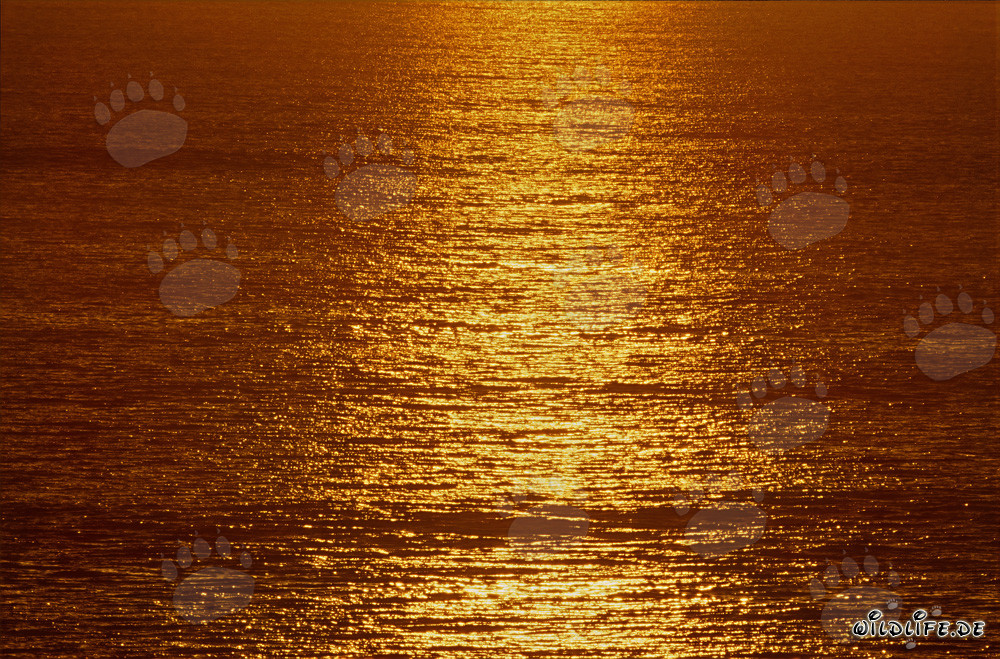 Coucher de soleil magique sur la baie de Walker en Afrique du Sud