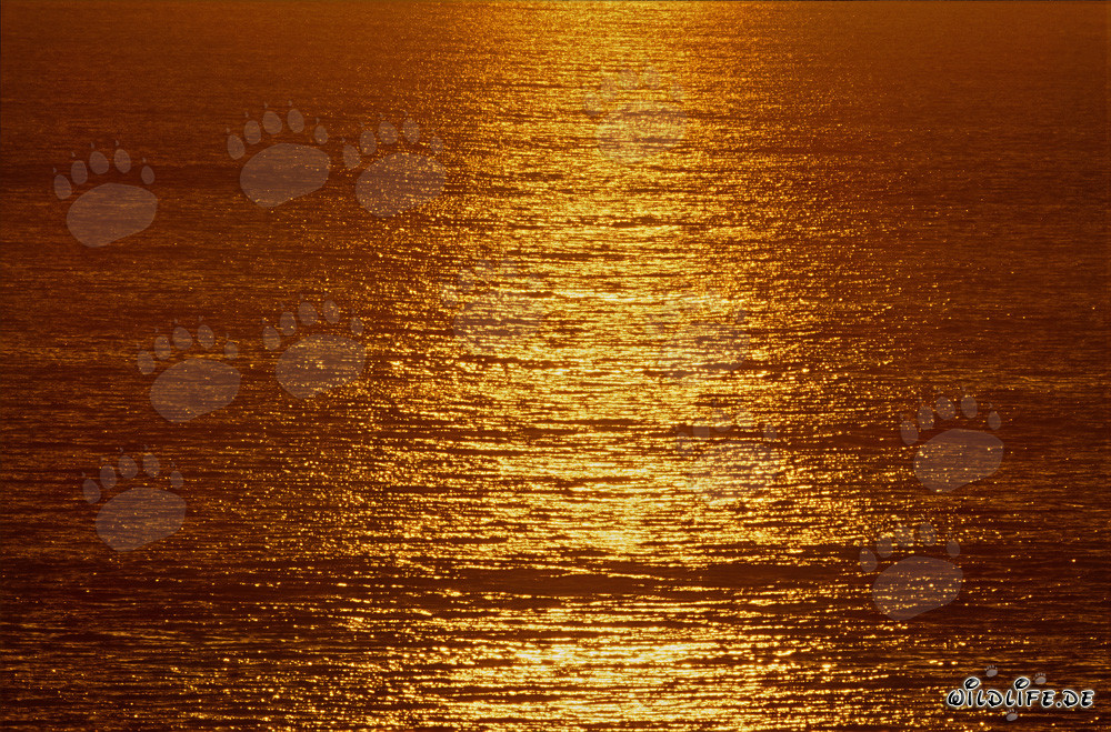 Tramonto magico sulla baia di Walker in Sudafrica