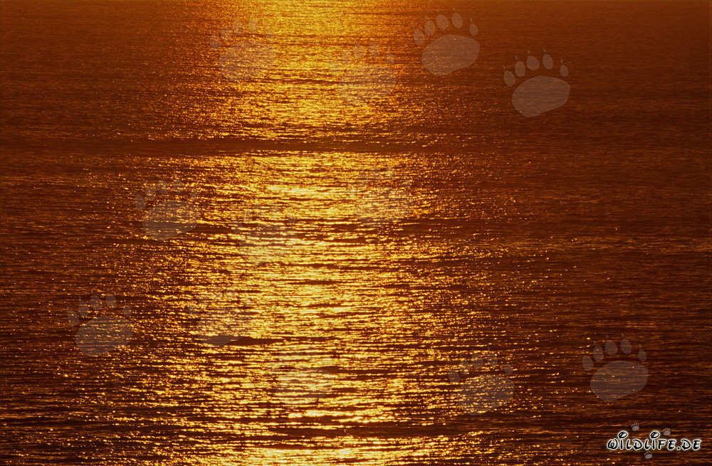 Atardecer mágico sobre la bahía de Walker en Sudáfrica
