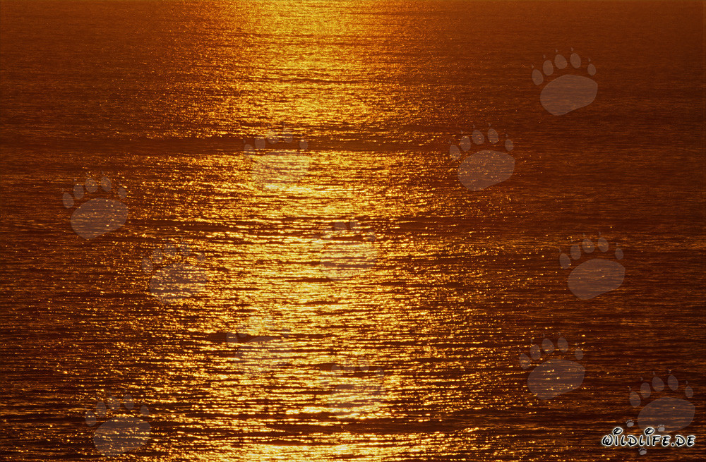 Magical sunset over Walker Bay in South Africa