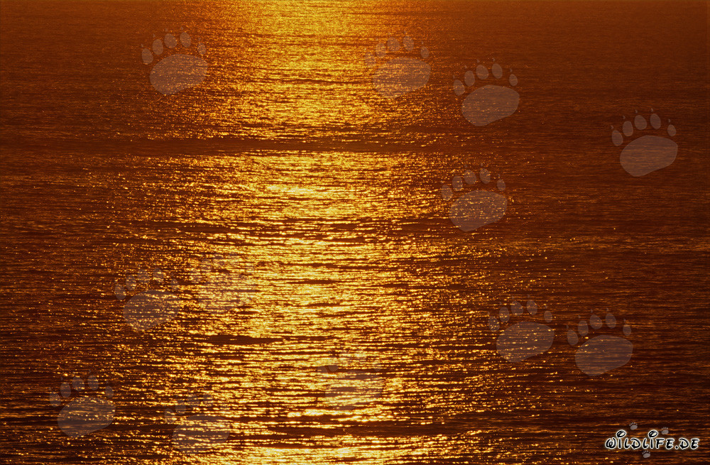 Tramonto magico sulla baia di Walker in Sudafrica