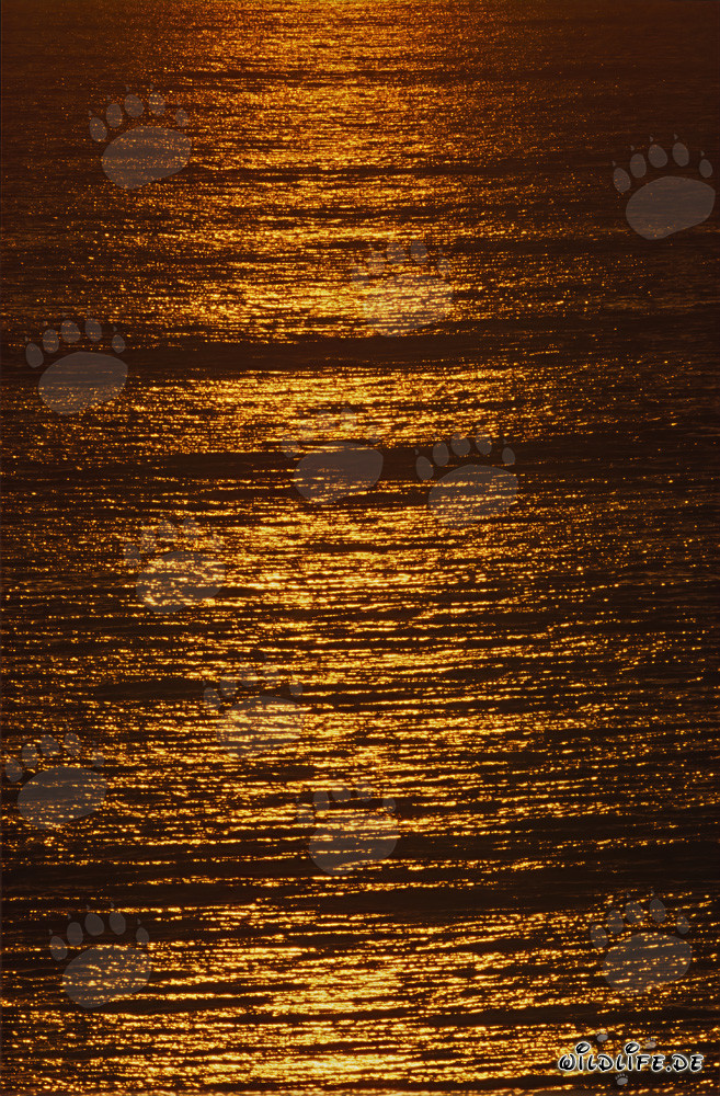 Tramonto romantico alla Walker Bay in Sudafrica