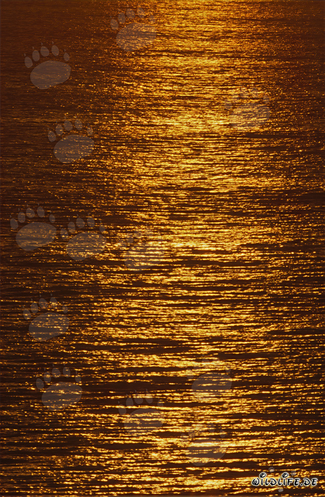 Romantic sunset at Walker Bay