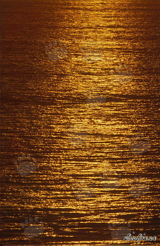 Coucher de soleil fascinant à la baie de Walker en Afrique du Sud