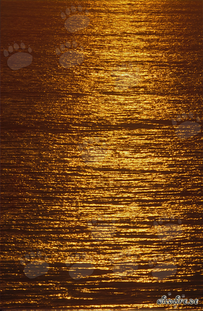 Fascinante puesta de sol en la bahía de Walker en Sudáfrica