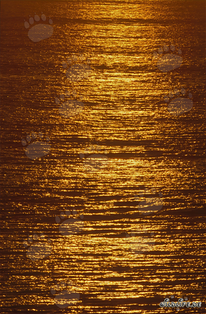 Atardecer mágico sobre la bahía de Walker en Sudáfrica