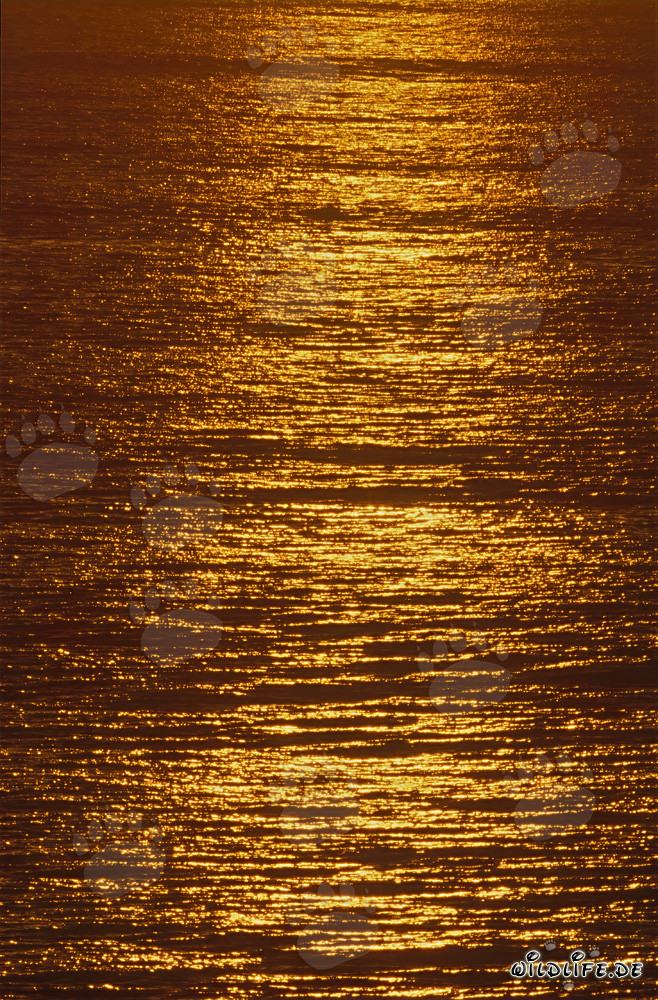 Coucher de soleil magique sur la baie de Walker en Afrique du Sud
