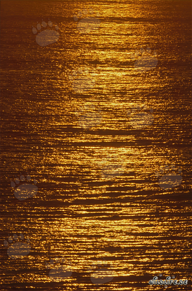 Magischer Sonnenuntergang über der Walker Bay in Südafrika