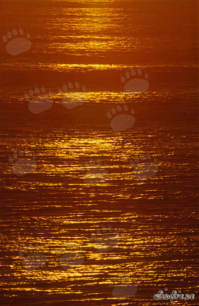 Romántica puesta de sol sobre el océano azul de Walker Bay, Sudáfrica