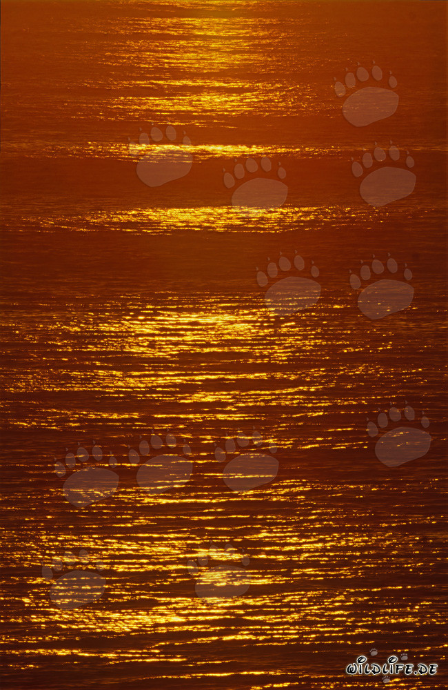 Tramonto romantico sull'oceano azzurro di Walker Bay, Sudafrica