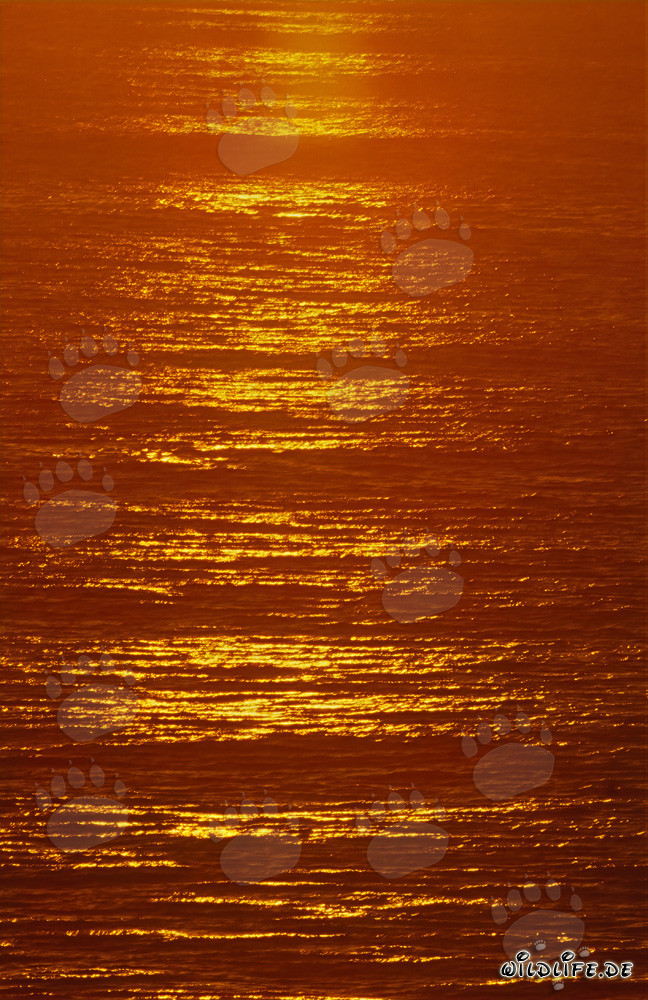 Couleurs dramatiques au coucher du soleil dans la baie de Walker
